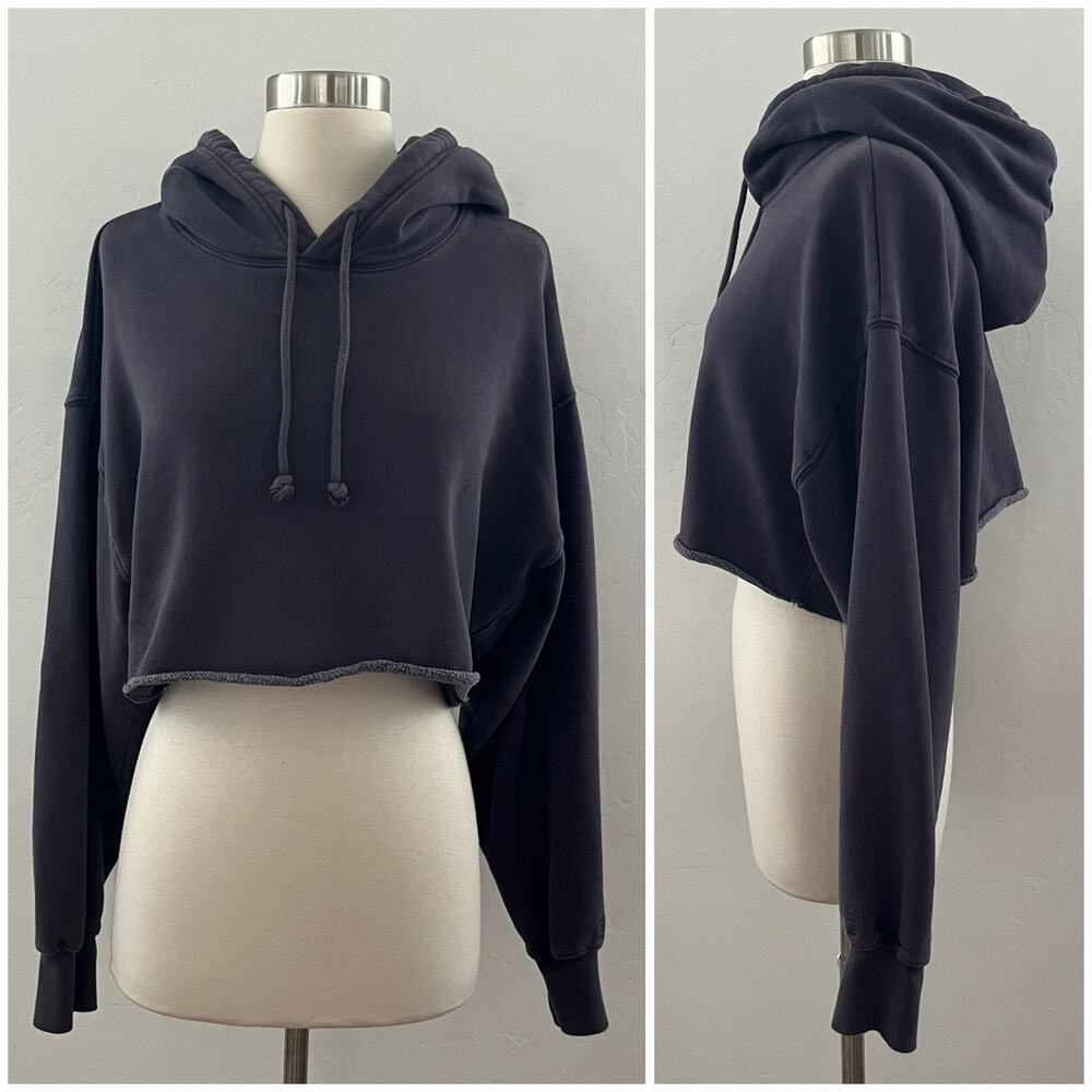 Aritzia TNA Cozy Fleece Crop Pullover Hoodie Size 2/Medium Gray Loungewear Cozy